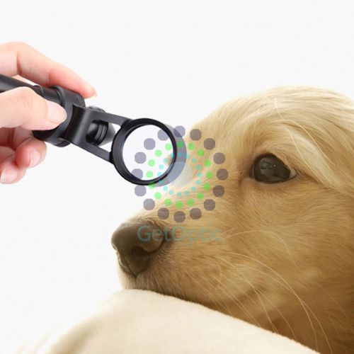 Portable Slit Lamp 310 Special for Pets Examination CE APPROVE