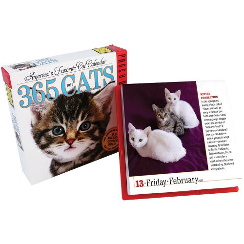 NEW 365 Cats 2015 Daily Calendar - Features Breeds Quotes Health Care &amp; Lore