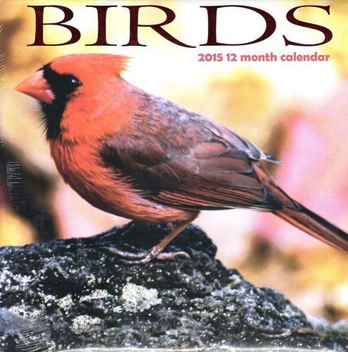 Birds - 2015 12 Month  WALL CALENDAR - 12x12  - NEW 2015