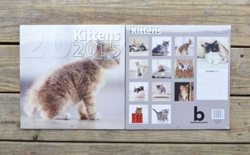 2015 Wall Calendar Kittens Cats Calendar 16 month calendar New in Package