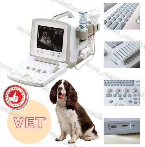 Ce vet veterinary portable ultrasound scanner+rectal linear probe + linear probe for sale