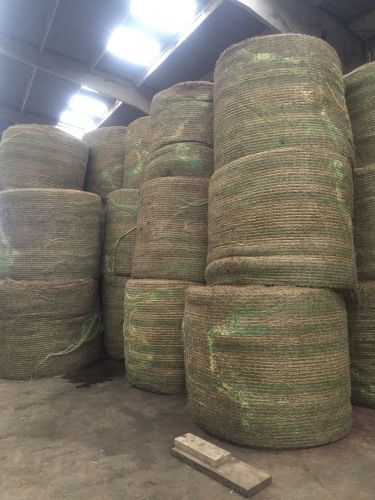 Round Hay Buy It Now For 10 Bales Cattle