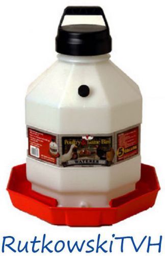 Little Giant Poultry Waterer Automatic High-Impact Plastic 5-Gallon Capacity