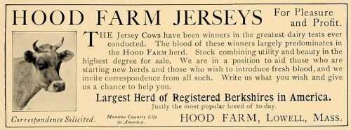 1906 ad hood farm jersey cows berkshires lowell mass - original advertising cl4 for sale