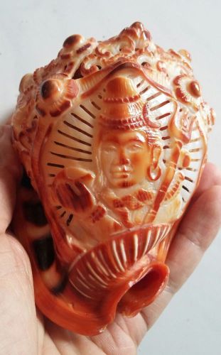 Carved Sea Shell Shiva God Hand Carved C Rufa Red Helmet Cameo Shell