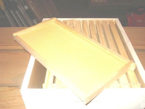 10 Frames w/ Foundation for A Langstroth Bee Hive Deep Brood Box