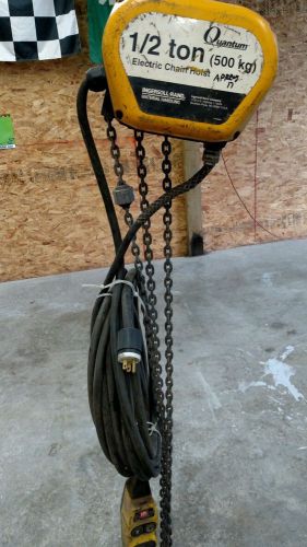 Electric chain hoist for sale