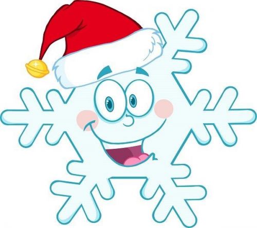 30 Custom Merry Snowflake Personalized Address Labels