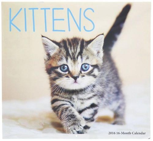 16-Month 2016 KITTENS Wall Calendar NEW &amp; SEALED Adorable Cats &amp; Pets Animals