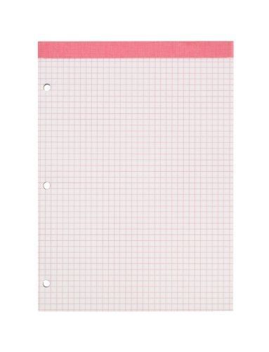 Ampad 20-287, Evidence Dual Pads, Letter Size, Pink Ruling 4 sq. / In. 100