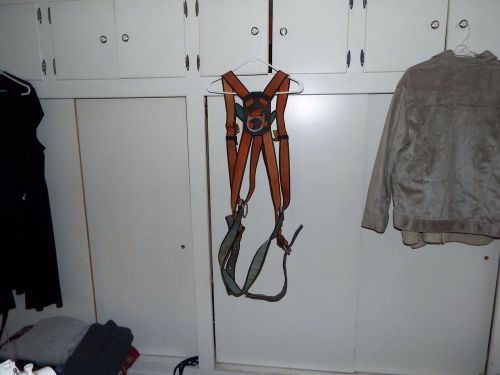 Rose Safety Harness