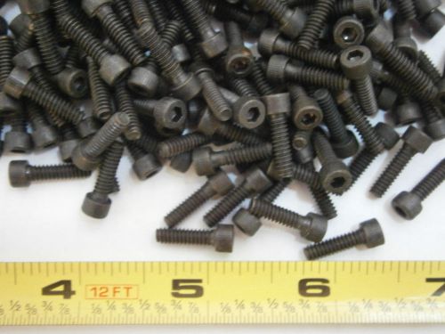 Cap Screws 6/32 x 1/2 Socket Head Stainless Steel Black Oxide Lot of 45 #3469