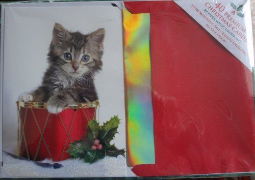40 Christmas Cards with Matching Self-seal Envelopes : Kitten
