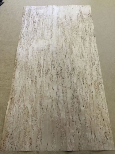 Wood Veneer Karelian Burl 18x35 1Pcs Total Raw Veneer  &#034;EXOTIC&#034; KB11 3-14-16