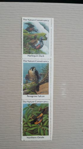Envelope Stickers - Harlequin Duck, Peregrine Falcon, Oriole  -- 3 Count