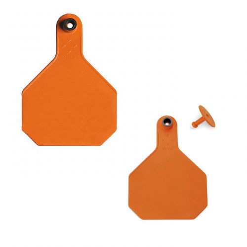 Y-TEX 7903000 ALL AMERICAN 4-STAR BLANK TAG, LARGE, ORANGE, PACK OF 25, NEW!