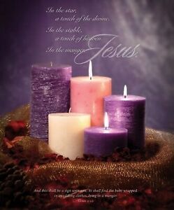 Bulletin-Advent Week 3: In The Manger  Jesus (Luke 2:12)-Legal Size (Pack Of