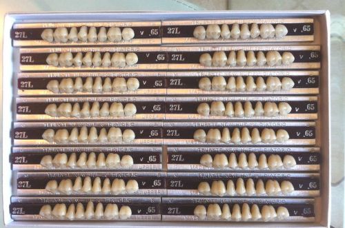 Dentsply New Hue Dentist Dental Lab Porcelain Denture Teeth - 27L  U  65