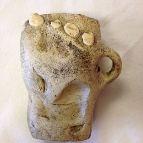 Walrus Jaw Mug With Teeth From New Zealand