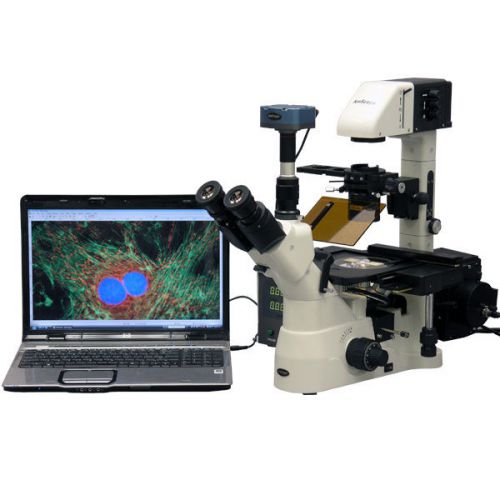 40x-900x phase contrast fluorescence inverted microscope + fluo camera for sale
