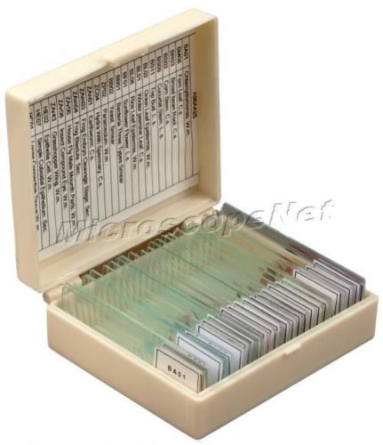 Brand new 25 prepared basic science microscope slides with plastic box for sale