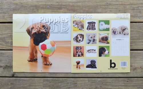 2015 Wall Calendar Puppies Calendar 16 month calendar New in Package Dogs