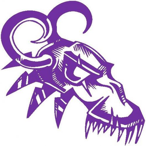 30 Custom Purple Skull Art Personalized Address Labels