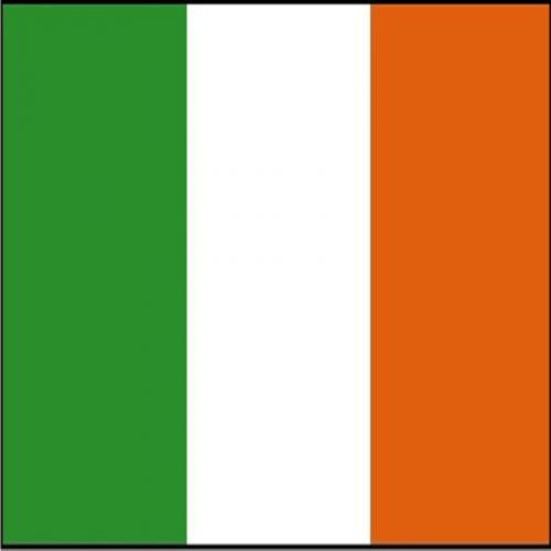30 Custom Ireland Flag Personalized Address Labels
