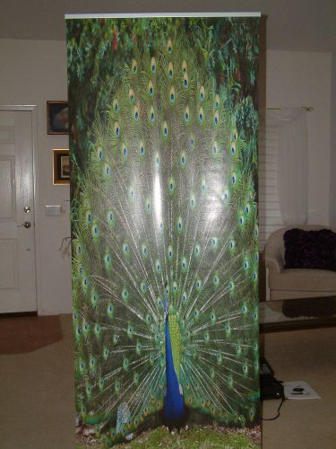 One Sided Retractable Trade Show Stuff Pull Up Banner WITH Peacock