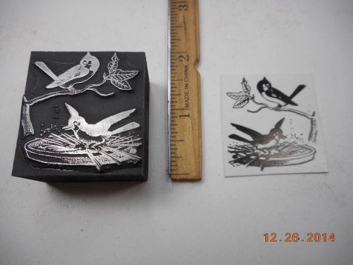 Letterpress Printing Printers Block, Bird splashes in Birdbath