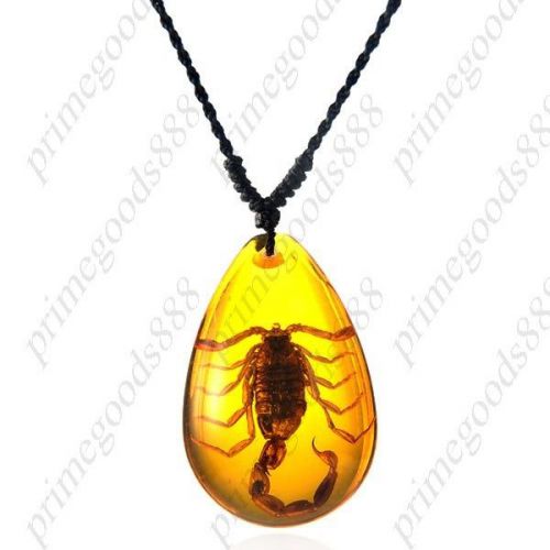 Deal crystal amber necklace neck chain scorpion chain pendants jewelry small for sale