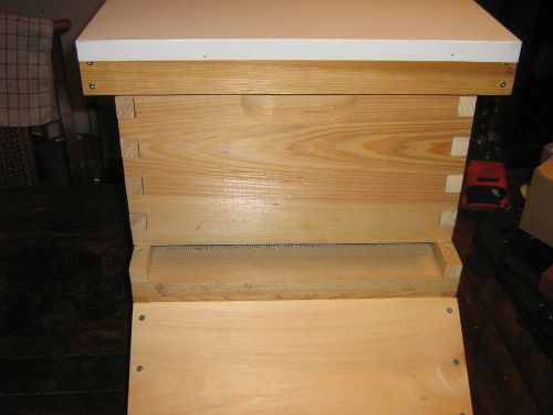 One pine deep box 10 frame beehive on stand