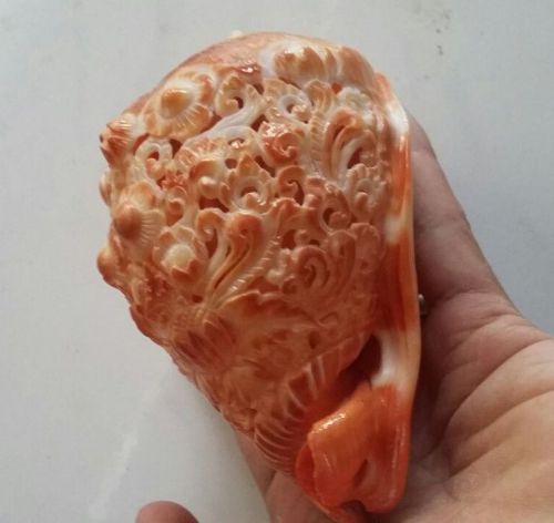 Carved Sea Shell Balines Decorative Hand Carved C Rufa Red Helmet Cameo Shell