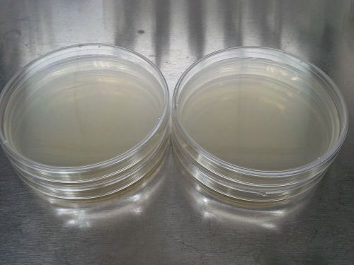 Potato Dextrose Agar (PDA) Presterilized Plates, QTY = 4, Made in USA