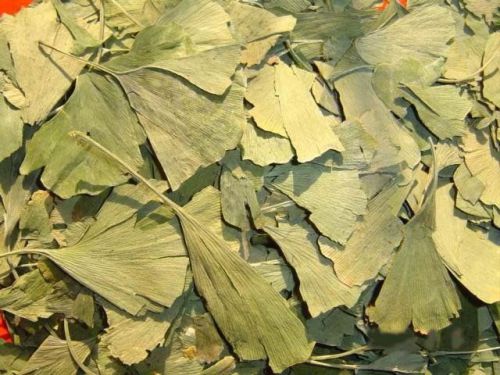Ginkgo leaves dry 100g for sale