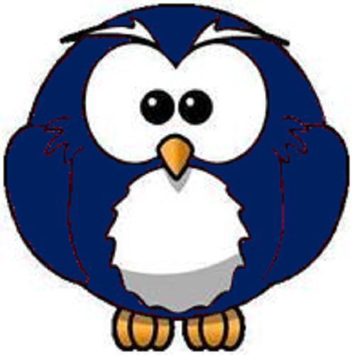 30 Custom Blue Owl Personalized Address Labels