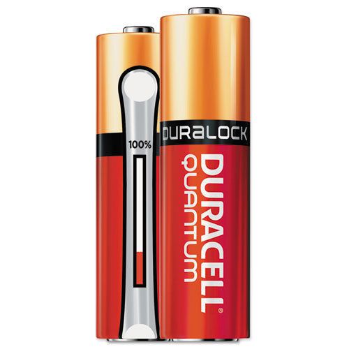 Quantum alkaline batteries with duralock power preserve technology, aa, 144/ct for sale