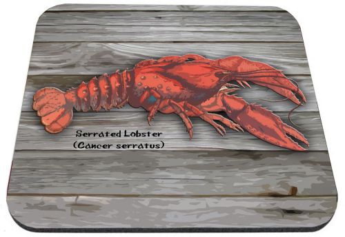 Serrated Lobster Cancer serratus Mouse Pad