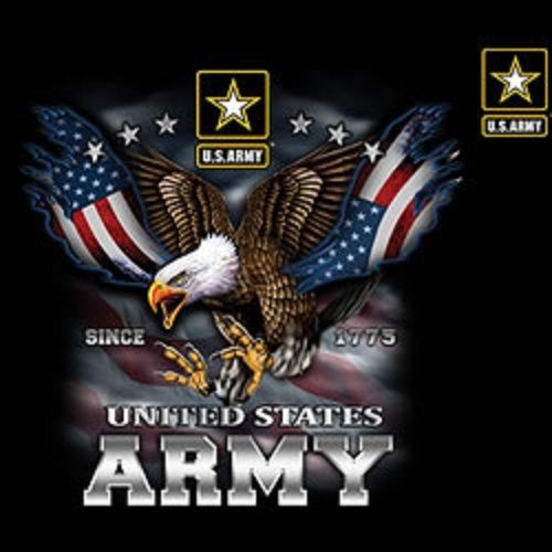 US Army Eagle Flag HEAT PRESS TRANSFER for T Shirt Sweatshirt Quilt Fabric 032b