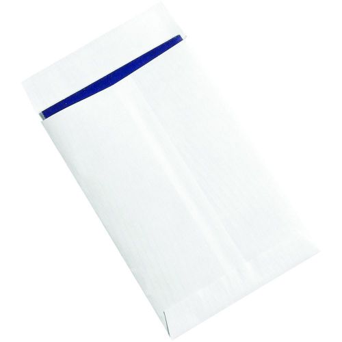 Partners Brand PSLF0609WH  Ship-Lite Flat Envelope 6&#034; x 9&#034; White (Pack of 100)