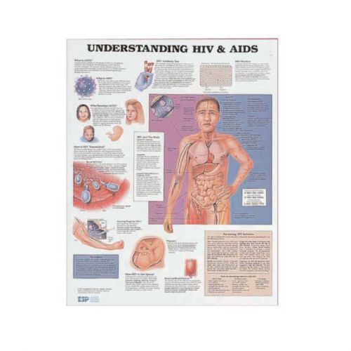 Understanding HIV &amp; AIDS * Anatomy Poster * Anatomical Chart Company
