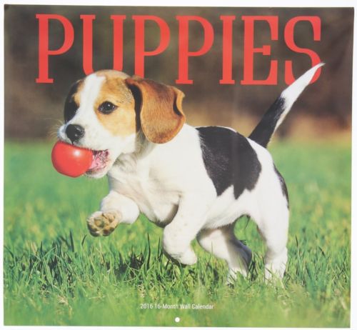 16-Month 2016 PUPPIES Wall Calendar NEW &amp; SEALED Adorable &amp; Cute Dogs &amp; Pets