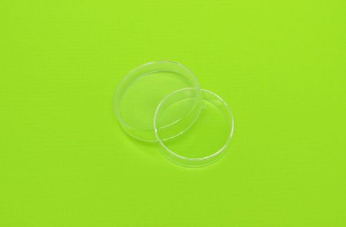 Petri Dish Borosilicate Glass Culture Tissue 60mm LAB Laboratory Specimen NEW