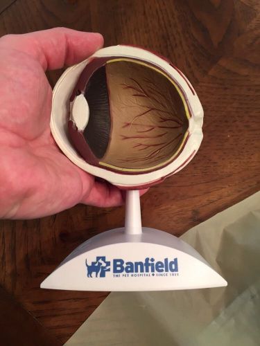 Future Vet Anatomical Model Dog Eye Veterinary Bag Banfield  Model Rare Teaching