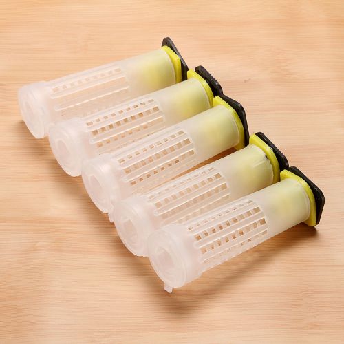 10 PCS Beekeeping Queen Bee Rearing Cell Tubular Cup Cage + Holder + Fixtures