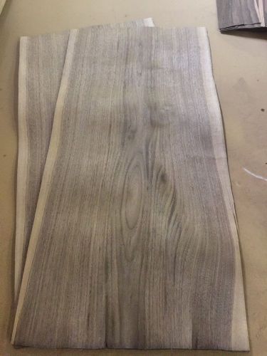 Wood Veneer Walnut 15x36 11Pcs Total Raw Veneer  &#034;EXOTIC&#034; WAL11 11-8-16