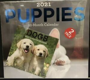 Puppies 12 Month 2pack Wall Calendar 11x12 Small 6x6 Seald When Opened 22X12 NWT