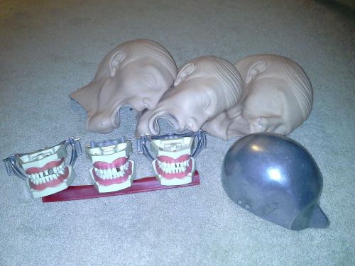 Lot of 3 columbia typodonts 3 rubber faces and 1 metal head skull for sale