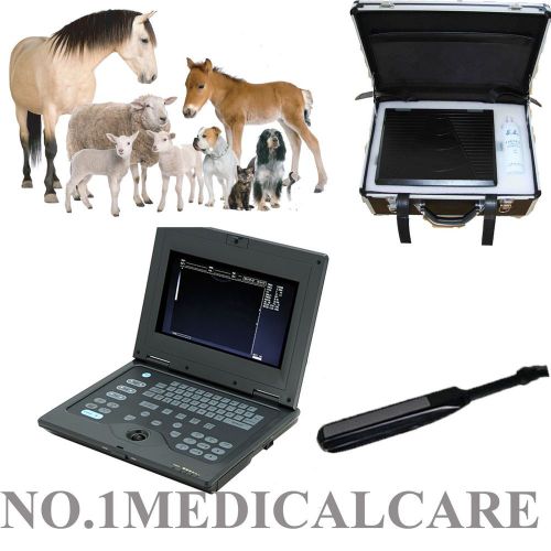 Auction vet resolution laptop b-ultrasound scanner + 6.5 rectal liner probe for sale