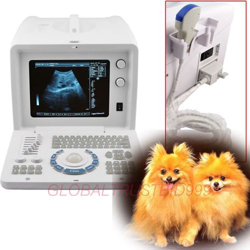 Veterinary vet portable digital ultrasound machine scanner w 3.5 convex probe 3d for sale